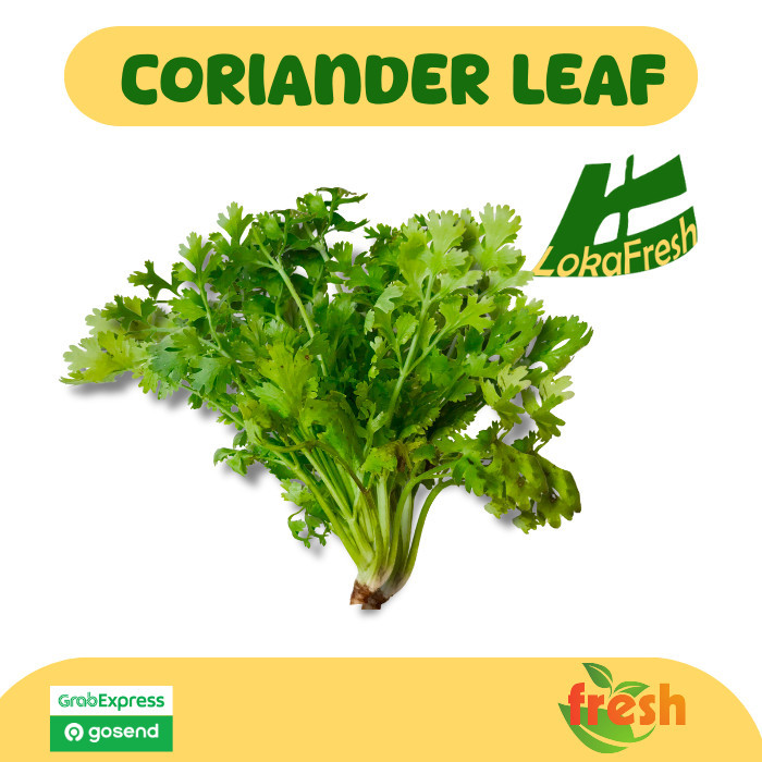 

Daun Ketumbar/ Coriander Leaf 100 gram