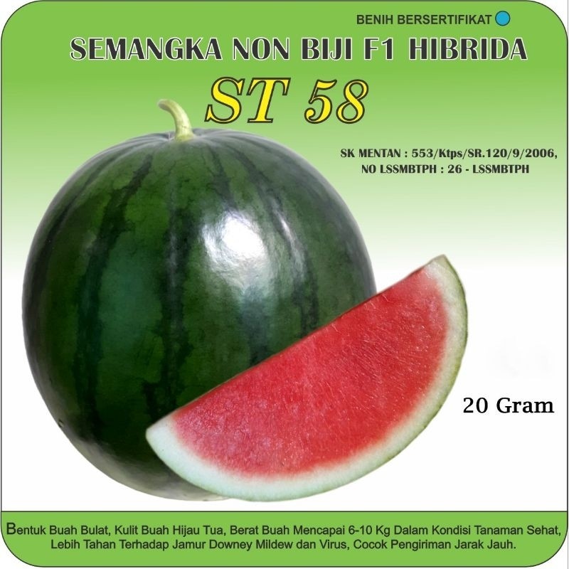 Benih Bibit semangka Non Biji ST58 hibrida F1 Sari Tani