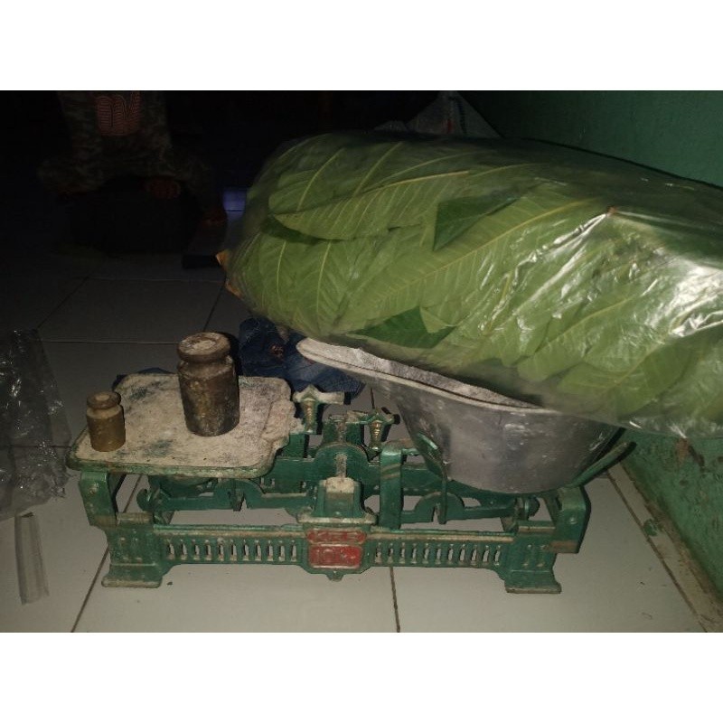 

Gelaskosong11 DAUN SUNGKAI 500 gram HERBAl covid 19