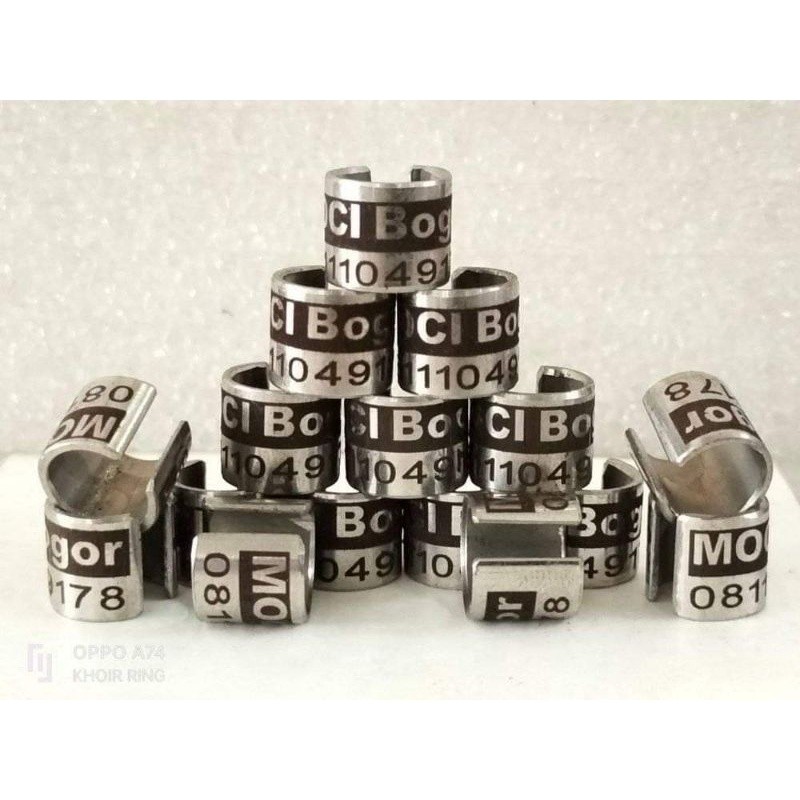 RING BURUNG MERPATI BAJA BELAH BUAT MERPATI DEWASA