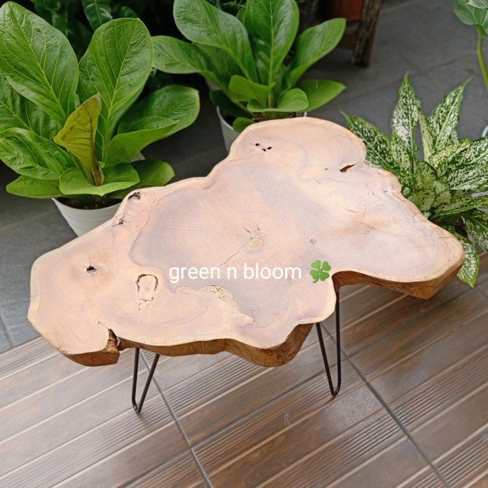Standing planter kayu jati (besar) / kaki pot kayu