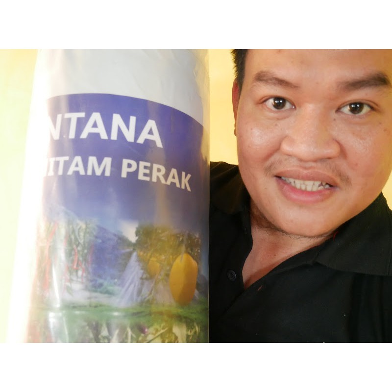 Mulsa Hitam Perak Montana Lebar 60cm Efek ke Warna Buah