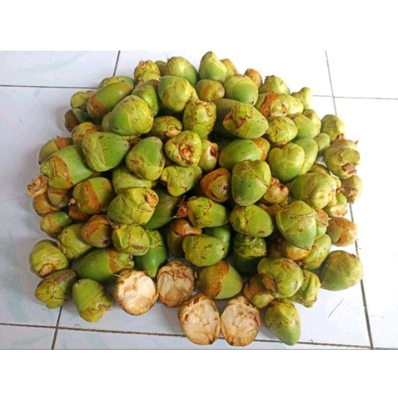 

Beluluk Kelapa Muda Fresh Isi 10 Pcs - Obat Diabetes & Rujak - Gula, Zuriat, Frozen, Makanan
