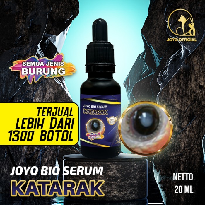 OBAT KATARAK BURUNG | MATA NITIK PUTIH | MATA KATARAK BURUNG | JOYO