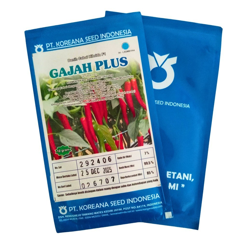 Benih Cabe Gajah Plus F1 Koreana Seed 10gr – Panjang 17cm, Panen 100 HST
