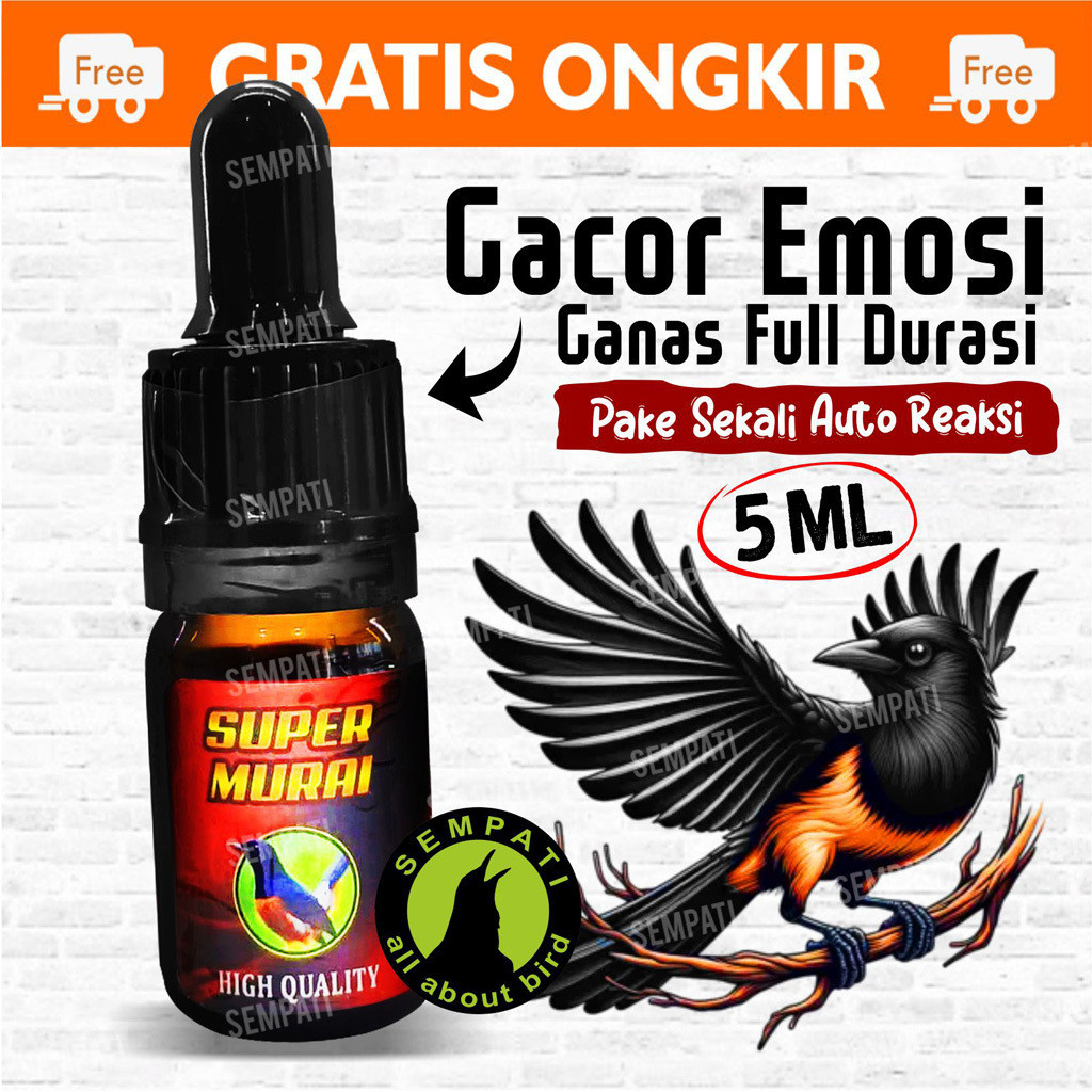SEMPATI Super Murai High Quality Vitamin Gacor Penggacor Burung Murai Batu Obat Gacor Spesial Burung