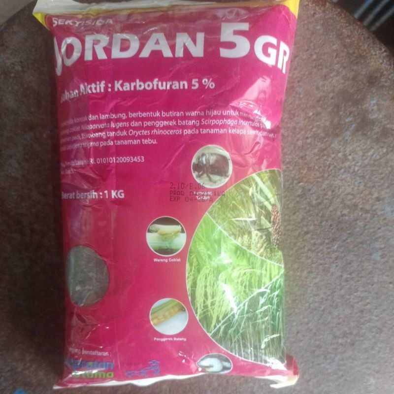 Insektisida Jordan 5 GR 1 kg