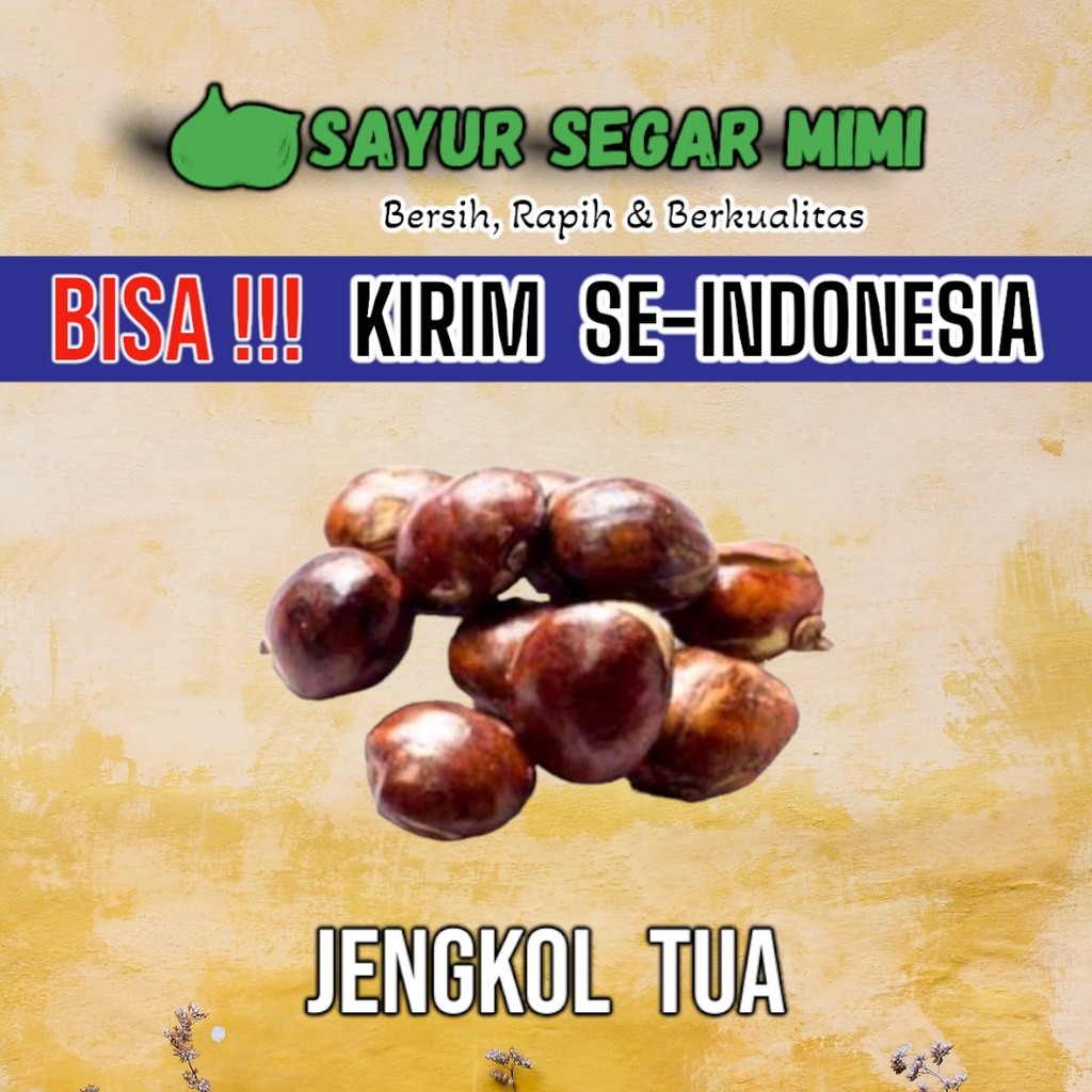 

Jengkol Tua 250Gram - Sayur Palembang