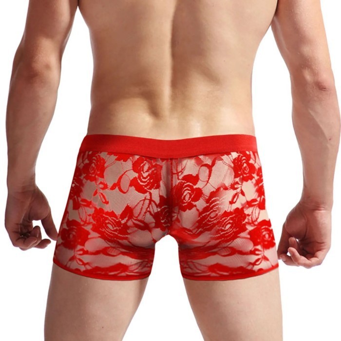 Celana Dalam Pria Bordir Renda Berongga Pakaian Dalam Pria Fit Tembus