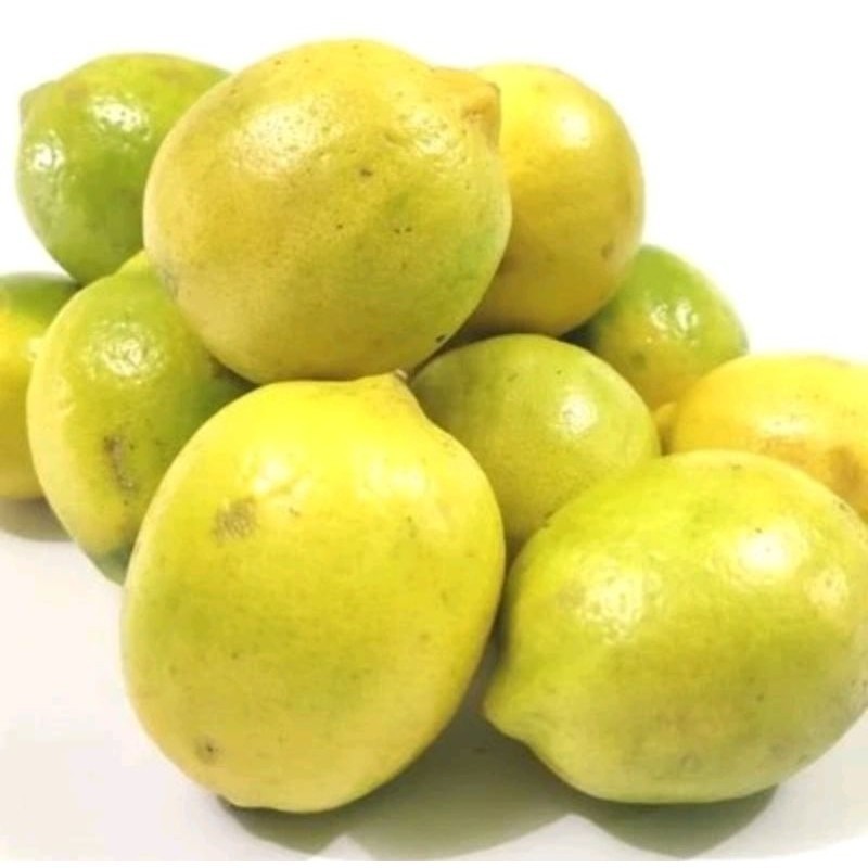 

Jeruk Lemon Fresh - Langsung Dipetik Dari Kebun