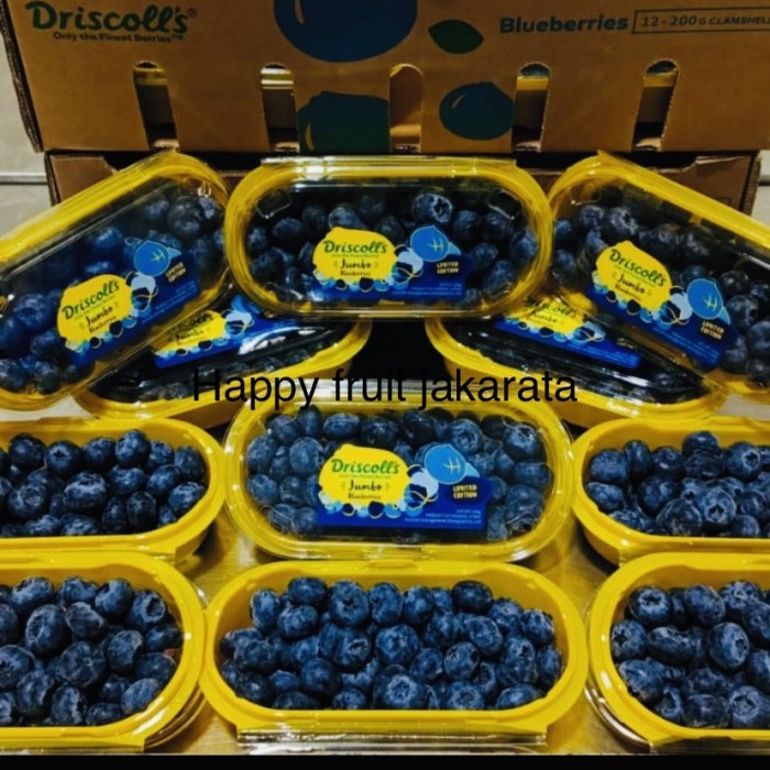 

Promo Blueberry driscoll jumbo manis 200grm