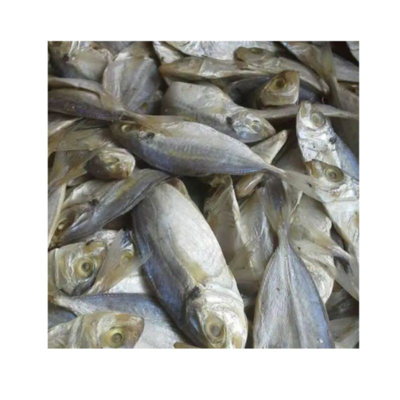 

Ikan Asin Delar 500 gram - Termurah Kualitas Super