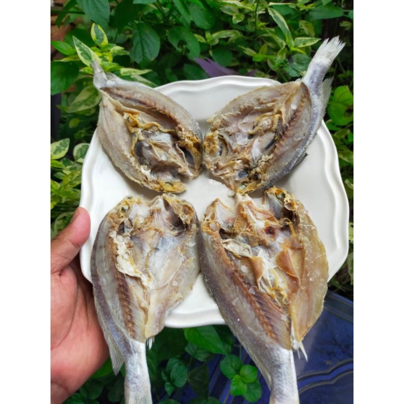 

PREMIUM Ikan Asin Gulama/Ikan Asin Samge/Ikan Asin Kepala Batu Belah Super 250 Gram