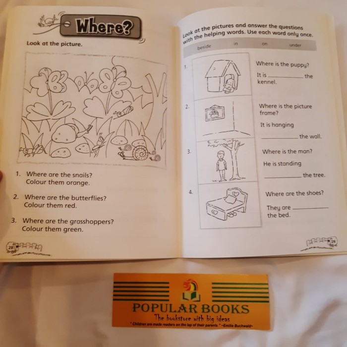 

K2 Comprehension WH- Questions