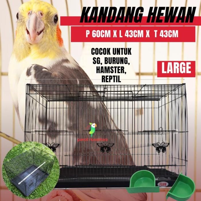 kandang burung kotak besar 60x42cm