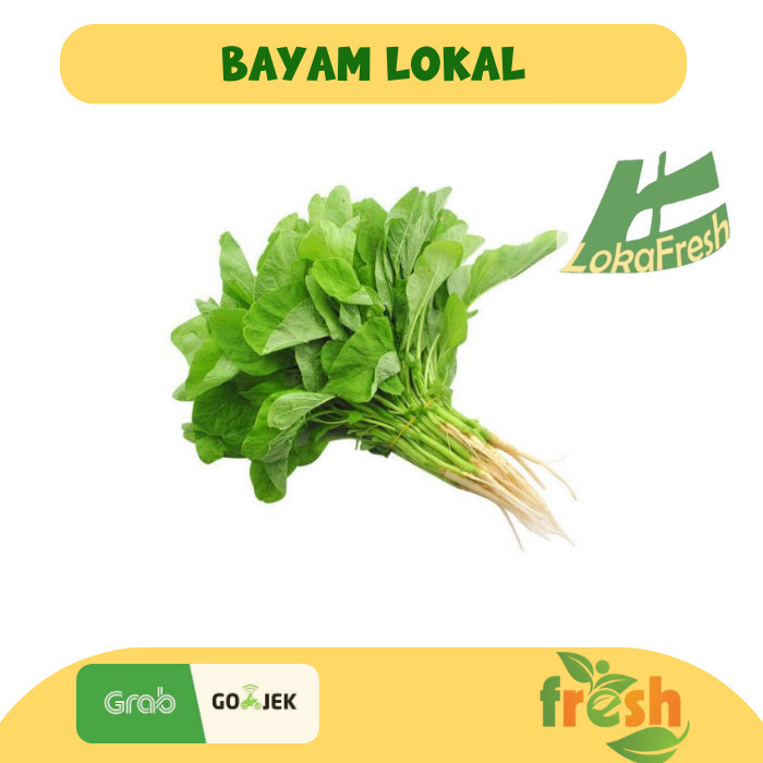 

Bayam Lokal Local Spinach
