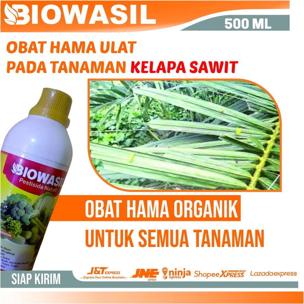 Pestisida Nabati 500 ML Biowasil Obat Hama Ulat Buah Pada Kelapa Sawit Paling Ampuh - Pupuk Semprot 