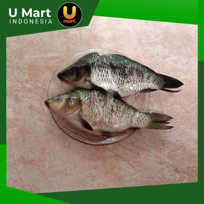 

U Mart - Ikan Mas Segar Bersih 1 kg