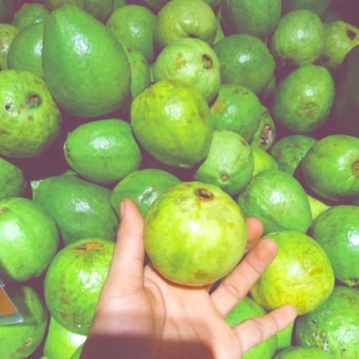 

Jambu batu merah