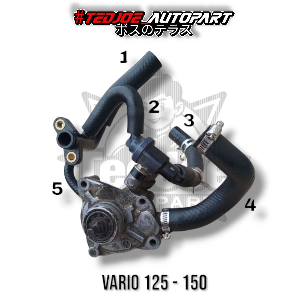 Selang Radiator Vario 125 150 | Selang Sambungan Radiator ke Waterpump Motor Honda Vario 125 & 150 |