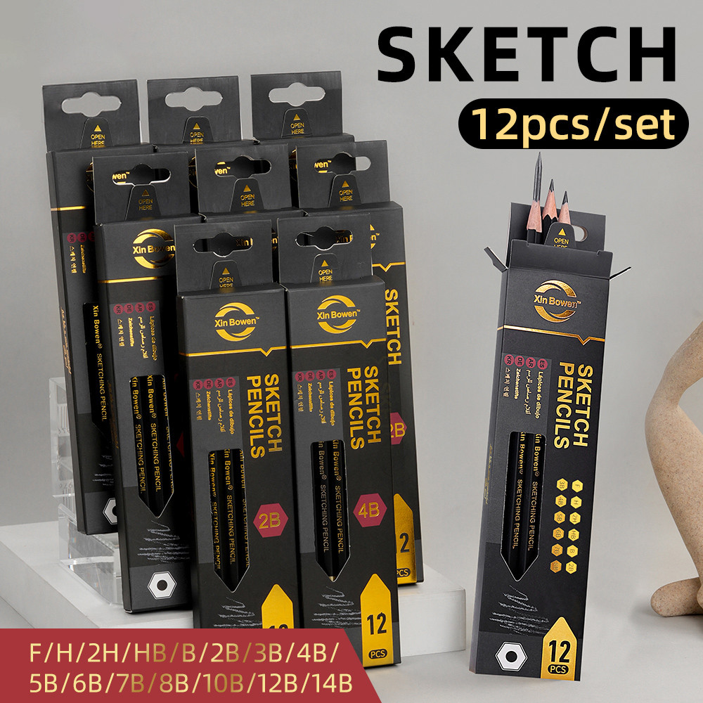 

12Pcs Sketching Drawing Pencils Set Professional Art Graphite Pencils 2H-14B for Artists Shading Sketch Writing School Supplies