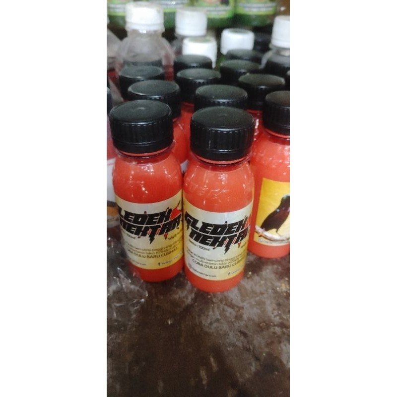 RUJAK NEKTAR PAKAN KOLIBRI