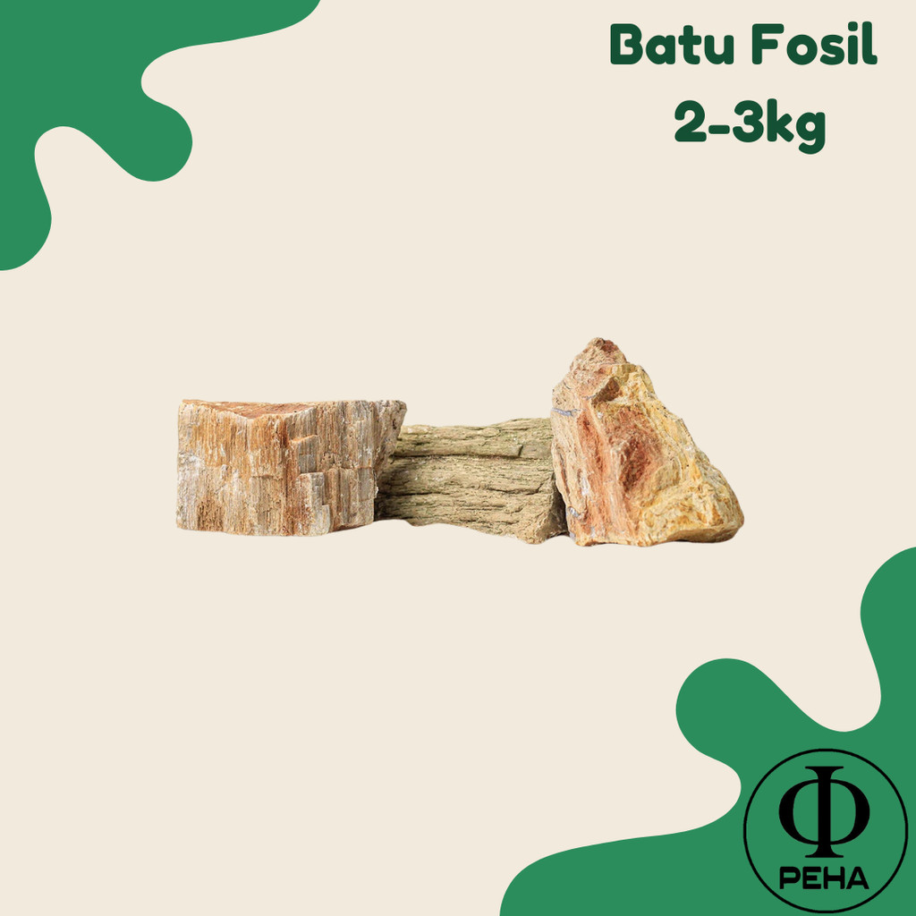 Batu Fosil Kayu Aquascape Batu Fosil 2-3KG