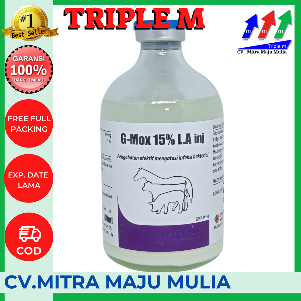 G-MOX 15% LA injek 100ml Anti biotik hewan besar