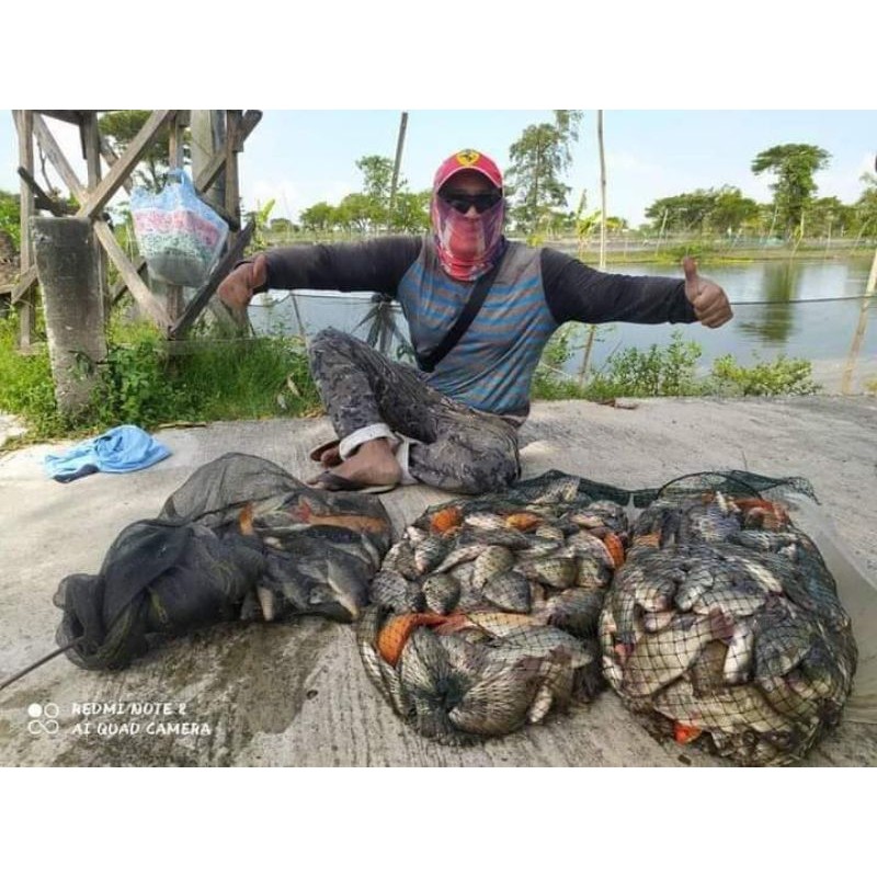 Essen Cacing rambo essen khusus media cacing. target ikan mujaer,bawal,lele,patin,gurame