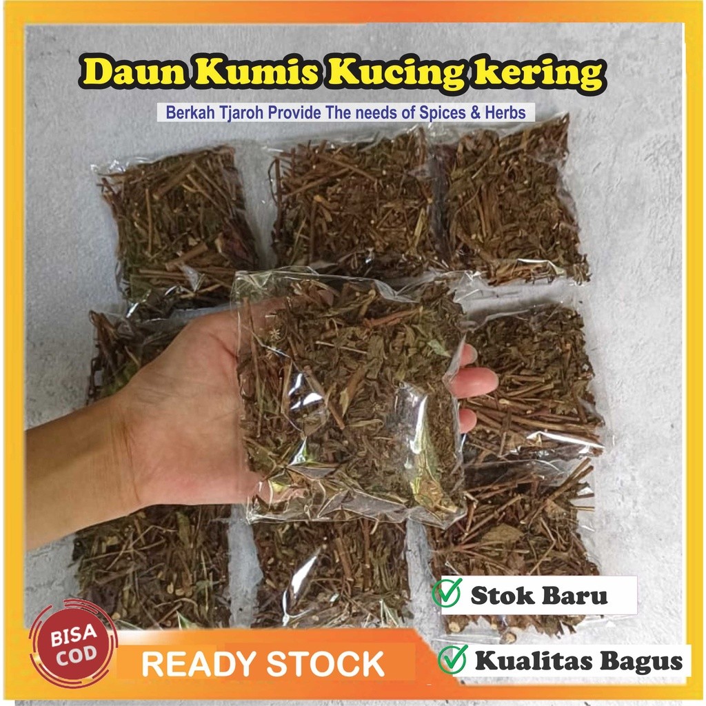 

Daun Kumis Kucing Kering Atasi Batu Ginjal Hipertensi Asam Urat 100gram