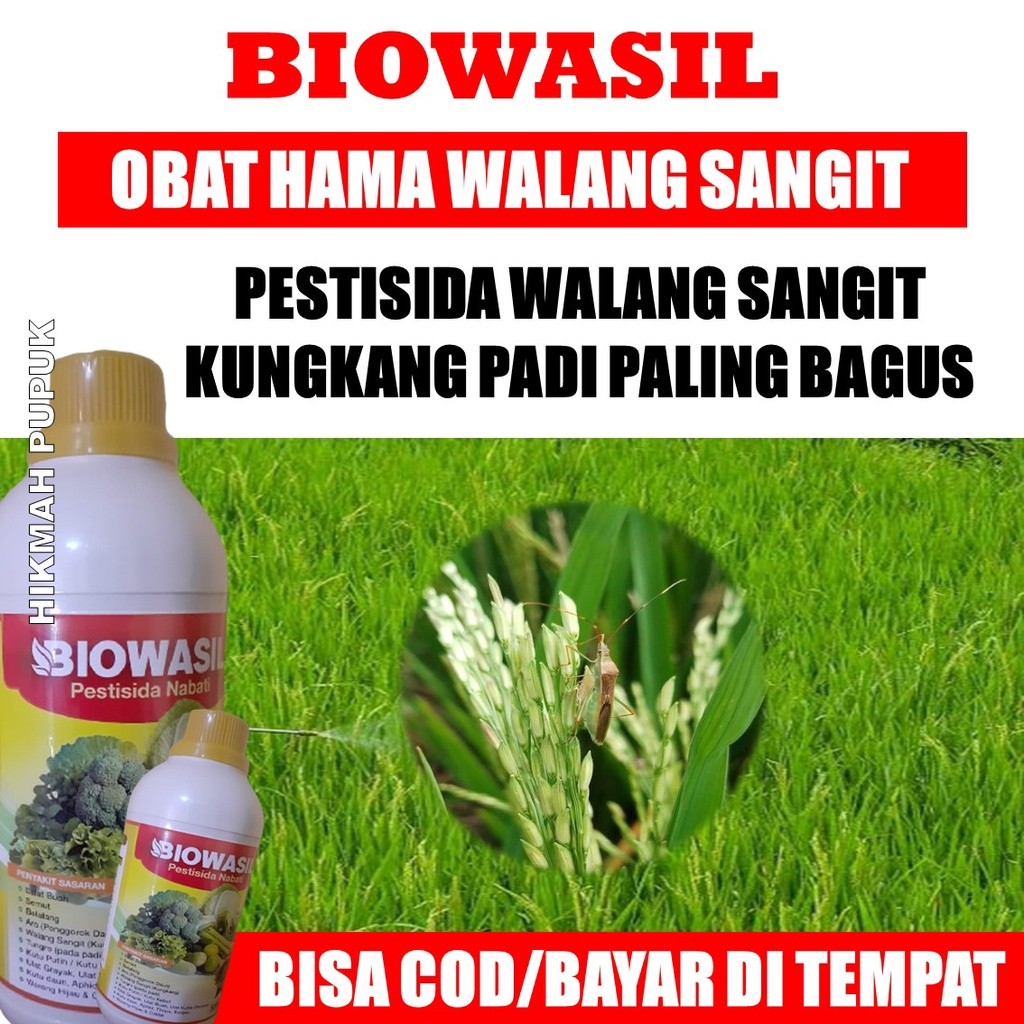 (PROMO) 500 ML Pupuk Pembasmi Hama Walang Sangit Ampuh BIOWASIL - Pupuk Padi Untuk Hama Walang Sangi