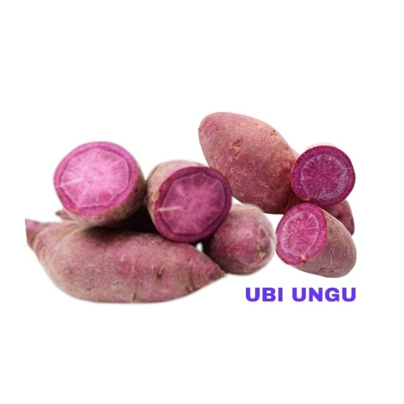 

TERLARIS UBI ATAU KETELA 1 KG TELO KUNING, UNGU