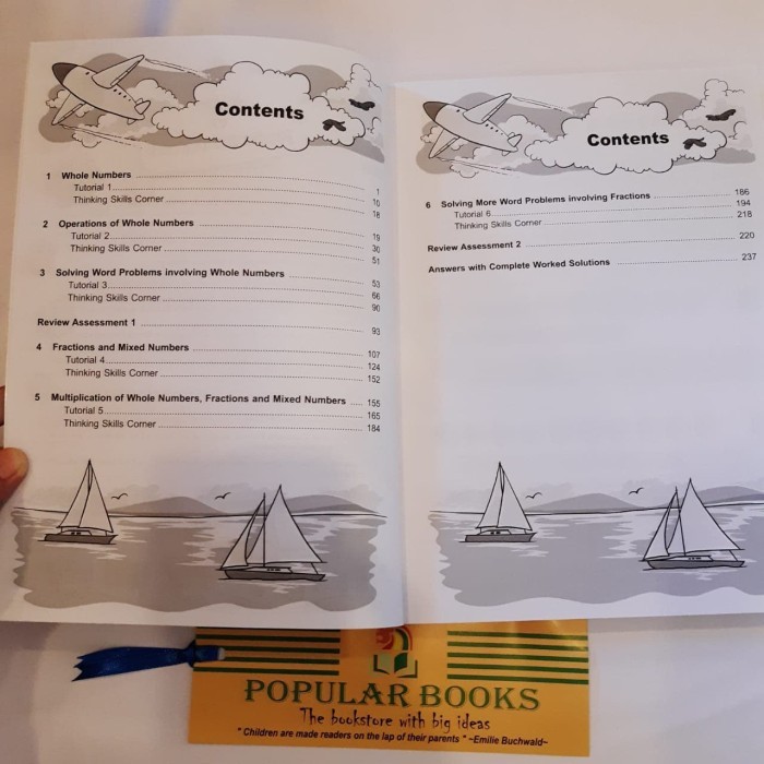 

Primary 5 Mathematics Tutor Set 3 Books