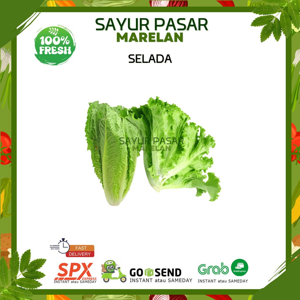 

Selada Keriting - 250gr 500gr 1kg