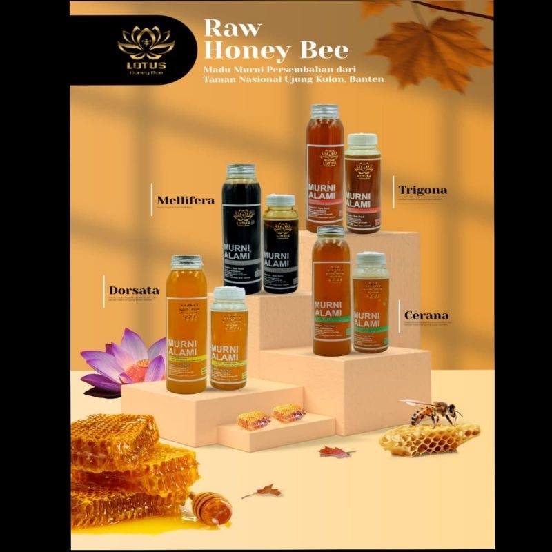 

ARFSHOP Madu Murni Lotus Honey Bee Mellifera Original 500gr - Madu Asli 100% Pure Natural Madu Hutan