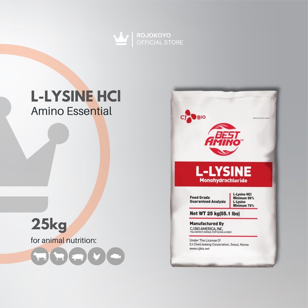 Lysine Lisin Suplemen Amino Acid 25 kg-Penambah Berat Badan Hewan Ternak