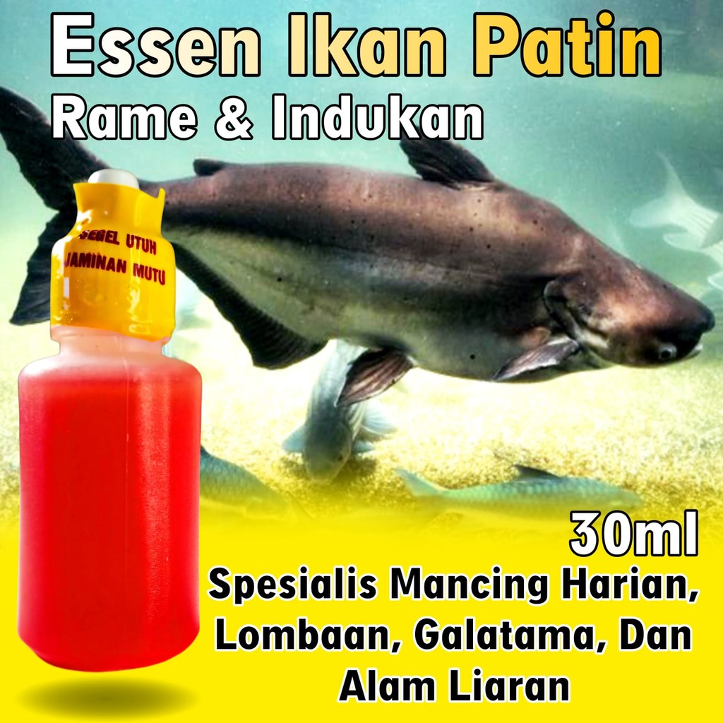Essen Ikan Patin Paling Gacor, Essen Ikan Patin Liaran, Essen Ikan Patin Galatama, Essen Ikan Patin 
