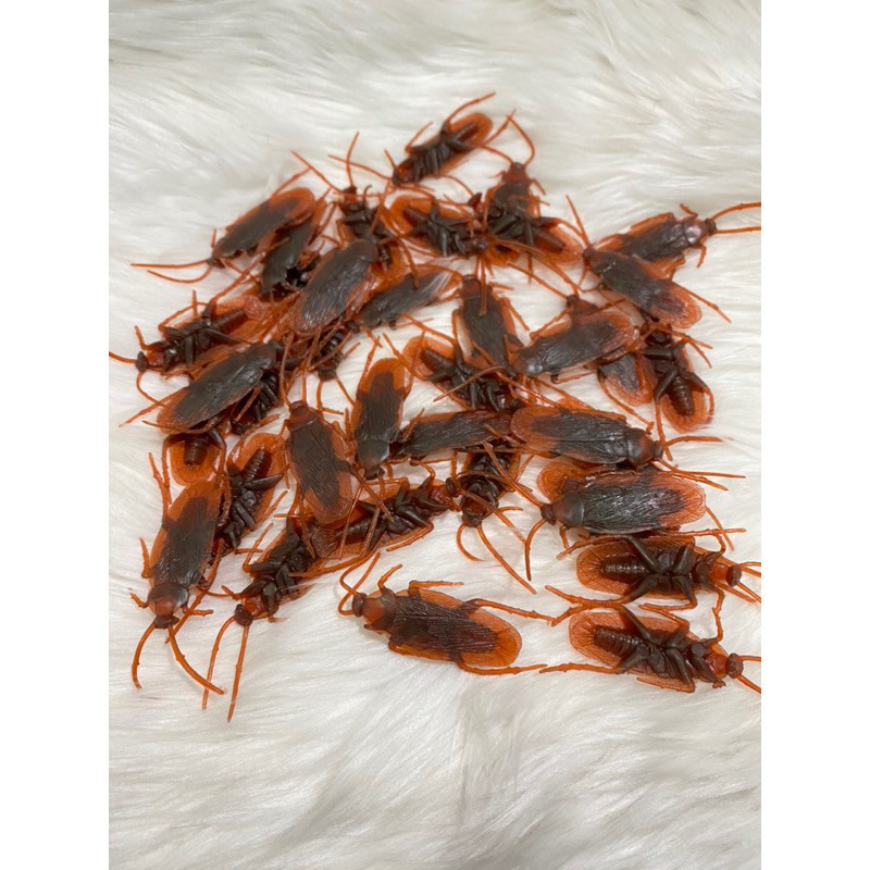 (wk acc) MAINAN PRANK KECOA KALAJENGKING / MAINAN ANAK / Mainan Kecoa Karet - Mainan Prank Jebakan K