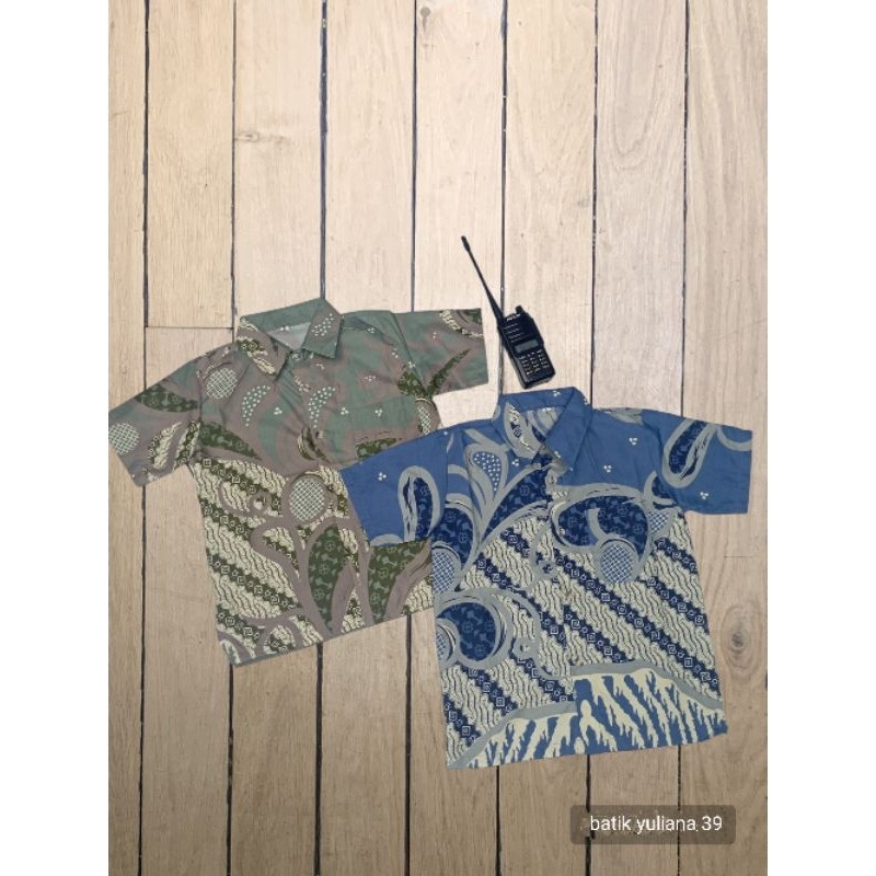 Batik Anak Sagebatik anak sage green laki laki batik anakbatik anak laki lakibatik anak terbarubatik