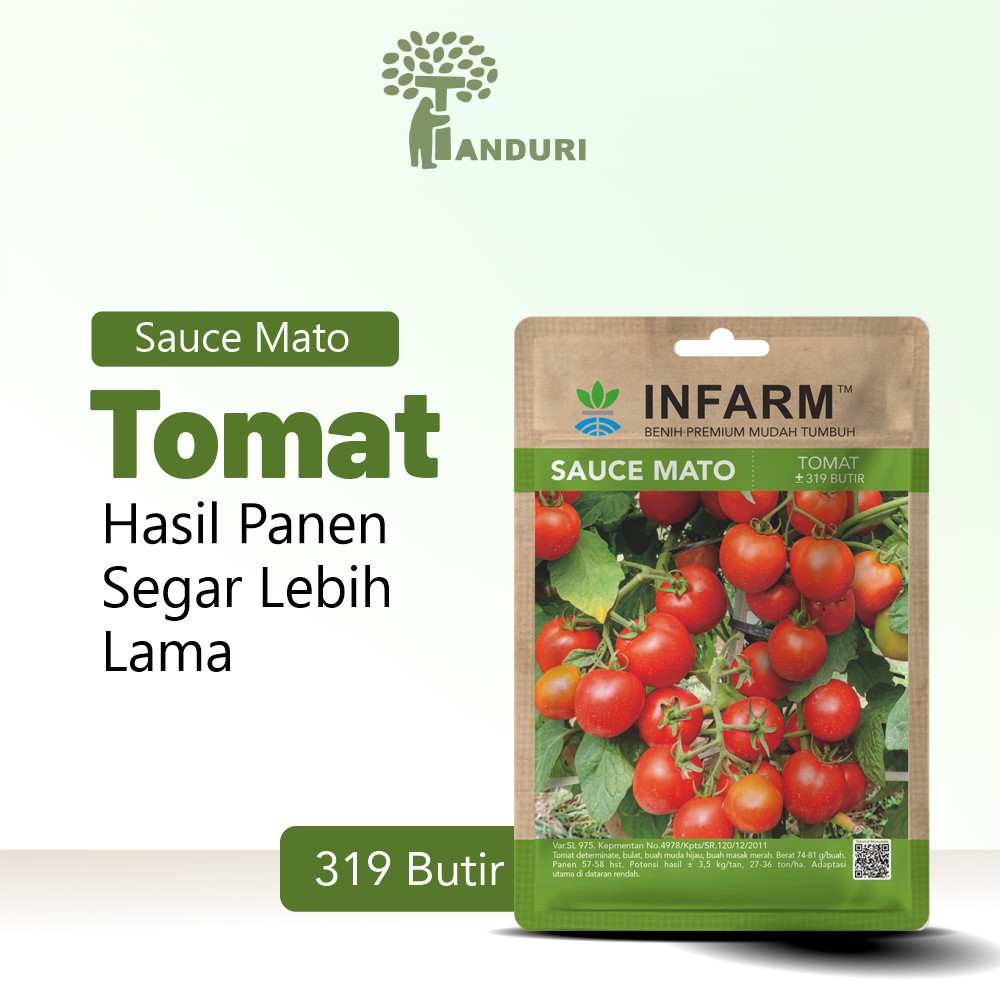 TANDURI - Bibit Tomat Sauce Mato Benih Tomat Biji Tomat Cocok Untuk Saus Tomat Hijau Merah Benih Bib