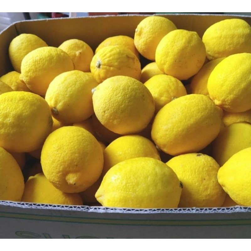 

Jeruk Lemon Import Fresh Perdus/1dus - 01