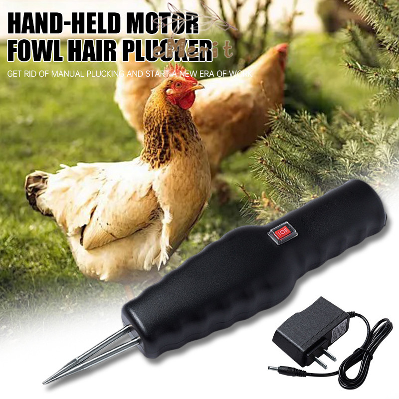 ALAT PENCABUT BULU AYAM / PINSET PENCABUT BULU AYAM