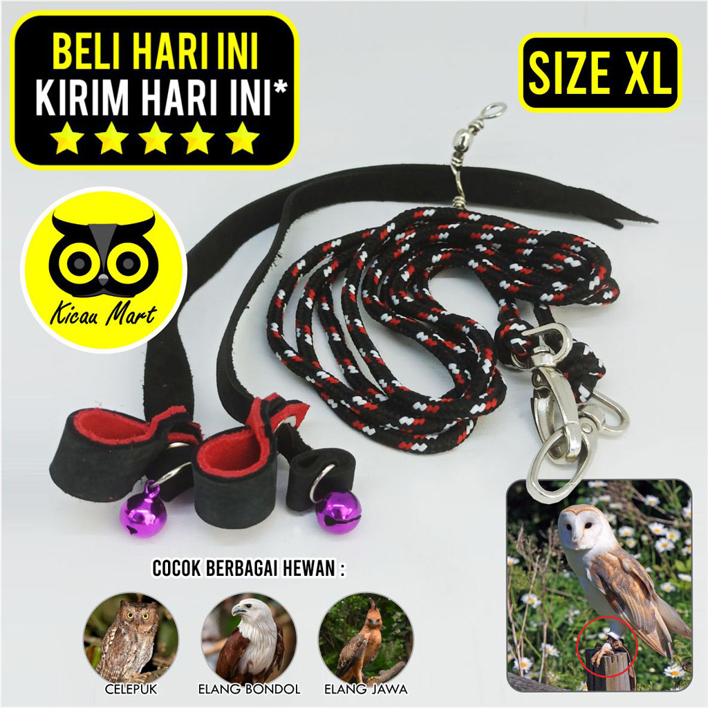 KICAU MART ANKLET CELEPUK SIZE  XTRA LARGE XL ANGKLET CELEPUK TALI KAKI BURUNG HANTU BUFFY FISH OWL 