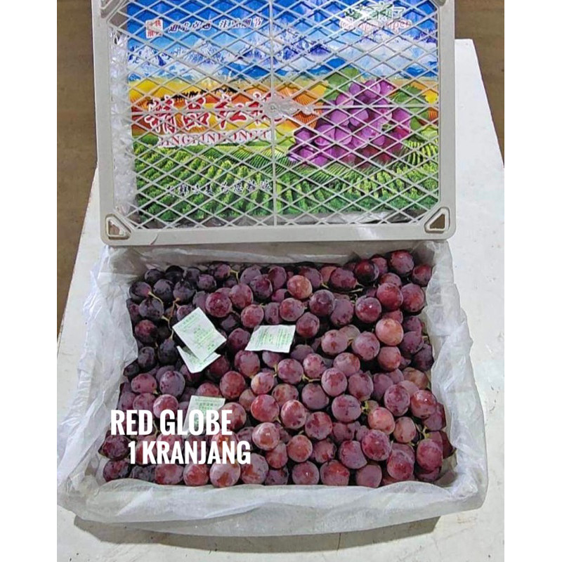 

UD BUAH 3 SAUDARA BUAH ANGGUR MERAH RED GLOBE KRANJANGAN