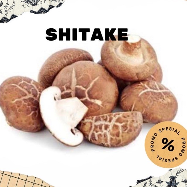 

UD BUAH 3 SMAUDARA JAMUR SHITAKE / HIOKO MUSHROOM