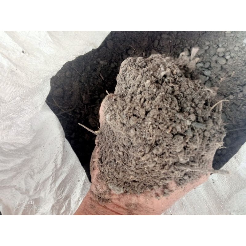 kotoran sapi kering organik penyubur tanaman murah aja 1 kg