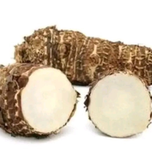 

talas pulen