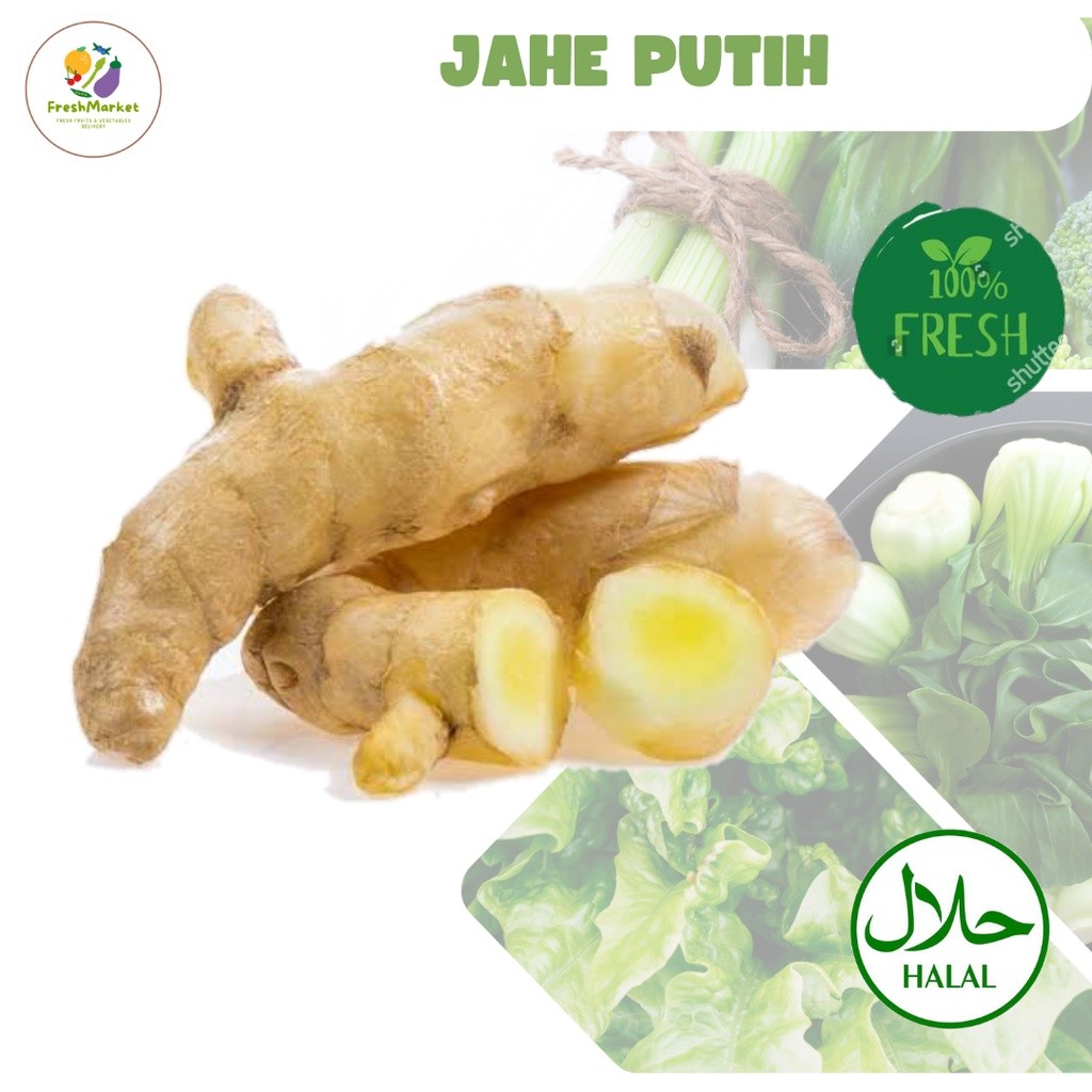 

Jahe Putih Bumbu Rempah Segar 250 Gram Sayurinstant