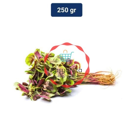 

Bayam Batik Organik 250 gr - Fasyanita Denpasar