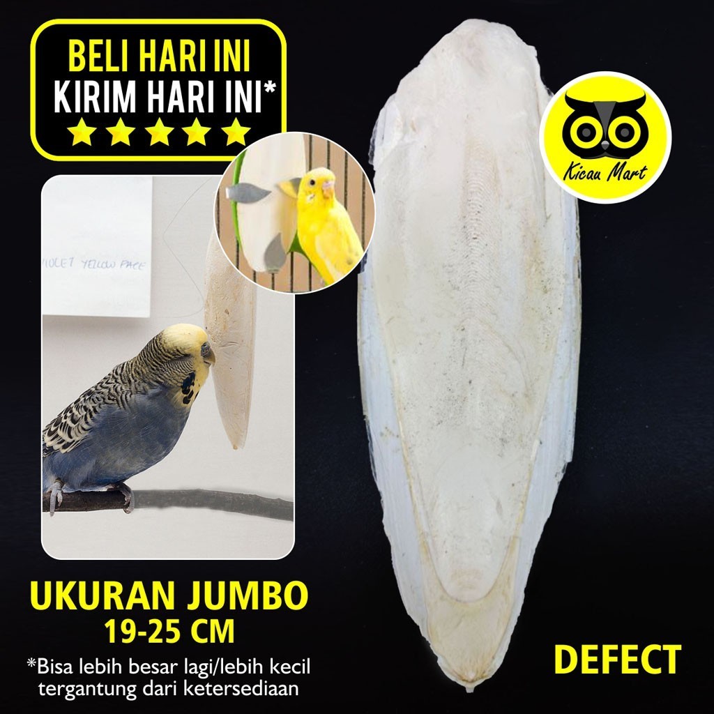 KICAU MART TULANG SOTONG ASINAN CUMI KERING SOTONG JUMBO KALSIUM PAKAN BURUNG PARROT KURA LEOPARD GE